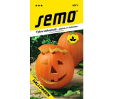 Semo Pumpkin Gigante Halloween 2 g