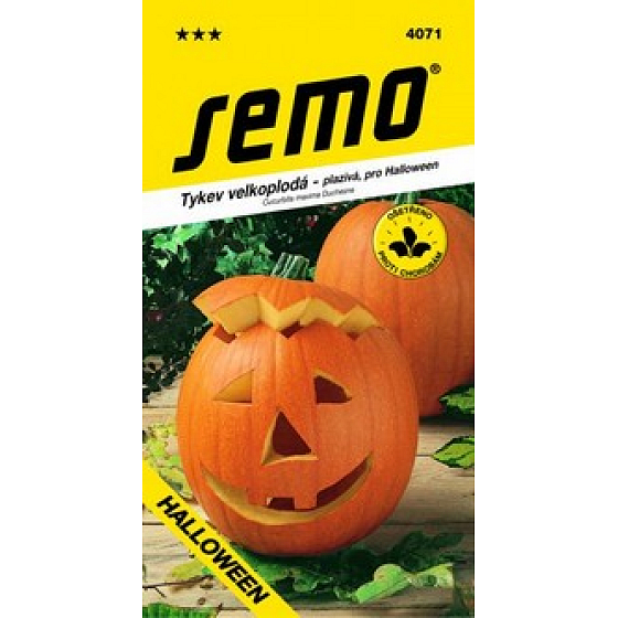 Semo Pumpkin Gigante Halloween 2 g