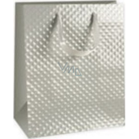 Ditipo Gift paper bag 18 x 10 x 22.7 cm gray
