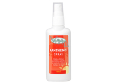 Dr. Popov Panthenol spray cools and soothes the skin, improves the quality and growth of hair 110 ml