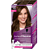 Schwarzkopf Perfect Mousse hair dye 6-00 (600) light brown