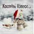 Me to You Envelope Greeting Card 3D Christmas Card, Christmas Bear with Sleigh 15.5 x 15.5 cm