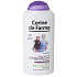 Corine de Farme Frozen II 2-in-1 Shampoo and Shower Gel for Kids 300 ml