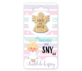 Nekupto Pocket Hug Angel Follow Your Dreams, Pocket Hug 6 x 12 cm