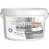 Eternal In Silver antibacterial paint 12 kg