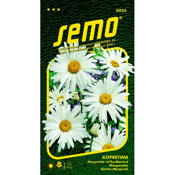 Semo Shasta Daisy White 0.8 g