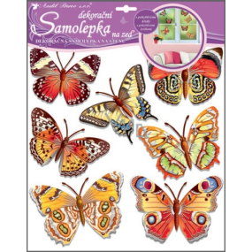 Plastic 3D butterflies wall stickers real 38 x 31 cm