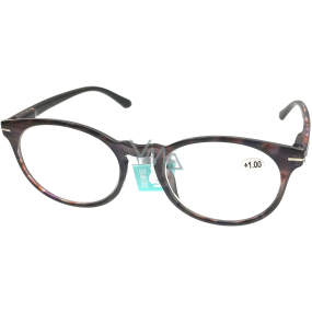 Berkeley Reading glasses +1.0 plastic violet-brown, round lenses 1 piece MC2171