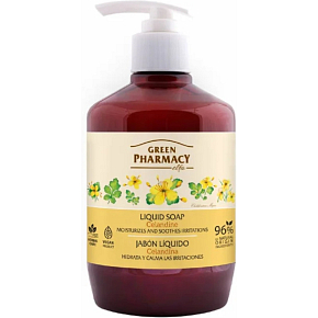 GREEN LIQUID SOAP SWALLOWTAIL AND LINDEN FLOWER WITH DISPENSER 460ML 5762
