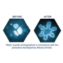 Masaru Emoto Delicate Carafe Gold Flower of Life 0.5 l To revitalize and revitalize weakened tap water