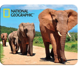 Prime3D Magnet - African Elephants 9 x 7 cm