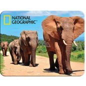 Prime3D magnet - African elephants 9 x 7 cm