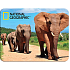 Prime3D Magnet - African Elephants 9 x 7 cm