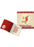 Nekupto Christmas card Apple 100 x 100 mm