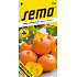 Seed Shokichi Red F1 Hokkaido 0,3 - 1 kg 5 seeds