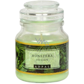 Adpal Monstera Design scented candle glass with glass lid 70 x 100 mm