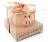 Albi Piglet for joy treasure box You can do anything you wish 6 x 7,5 cm