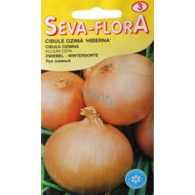 Seva - Flora Winter onions Hiberna 2 g