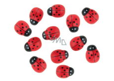 Wooden ladybug 1.6 cm 12 pieces