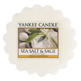 Yankee Candle Sea Salt & Sage - Sea salt and sage aroma lamp 22 g