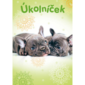 Ditipo Úkolníček 2 puppies workbook A6