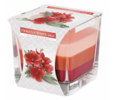 Emocio Hibiscus & White Sage - Hibiscus and white sage three-colour scented candle glass prism 80 x 80 mm, burning time up to 32 hours