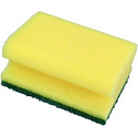 Clanax Profi Normal sponge for container 10 pieces 23P10