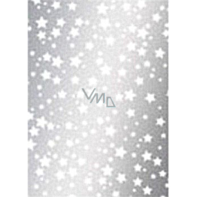 Ditipo Gift wrapping paper 70 x 500 cm Christmas silver White stars 2033913