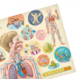 Albi Magic Reading Interactive Talking Book Human Body Age 5+