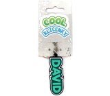 Nekupto Cool name tag David 1 piece