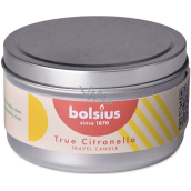 Bolsius True Citronella candle in sheet 85 x 55 mm 1 piece