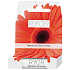Ryor Regenerating nail oil 5 ml