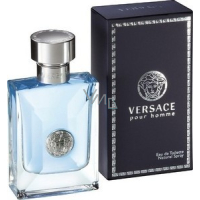 Versace pour Homme EdT 100 ml eau de toilette Ladies