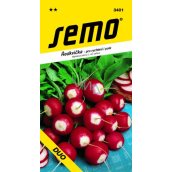Semo Radish for Forcing and Field Duo 5 g