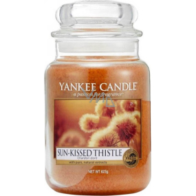 Yankee Candle Sun Kissed Thistle - Perfect autumn scent scented candle Classic large glass 623 g