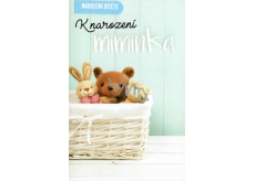 Nekupto Greeting Card for the Birth of a Baby 115 x 170 mm 3462 F