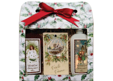 Bohemia Gifts Merry Christmas Christmas shower gel 2 x 100 ml + apple and cinnamon scented card 11 x 6,3 cm, cosmetic set