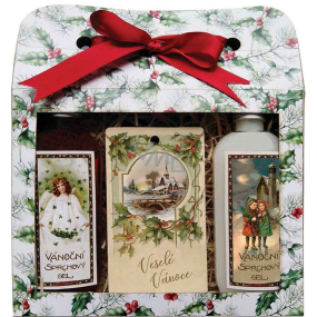 Bohemia Gifts Merry Christmas Christmas shower gel 2 x 100 ml + apple and cinnamon scented card 11 x 6,3 cm, cosmetic set