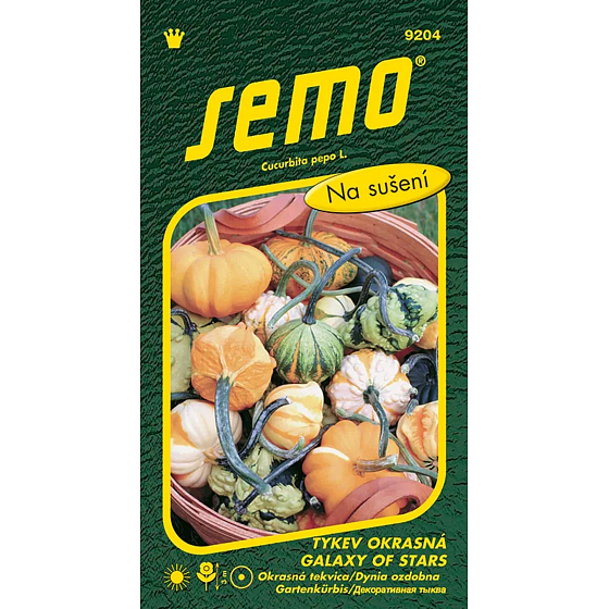 Semo Ornamental Pumpkin Galaxy of Stars F1 0,4 g