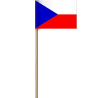 Arch Paper flag of the Czech Republic on a stick 42 cm 1 piece