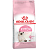 Royal Canin Kitten complete food for kittens from 4 to 12 months 400 g