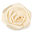 Ditipo Satin Adhesive Rose Beige 5 cm