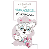 Nekupto Birthday Card Stay COOL Dog 116 x 220 mm 3493 K