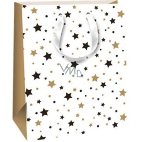 Ditipo Gift paper bag 18 x 22,7 x 10 cm Glitter - black and gold stars