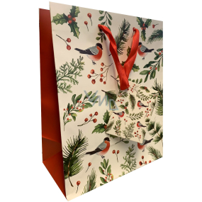 Ditipo Gift paper bag 22,5 x 17,5 x 10 cm Christmas birds, holly