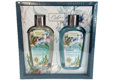 Bohemia Gifts Dead Sea relaxing shower gel 250 ml + gentle hair shampoo 250 ml, cosmetic set