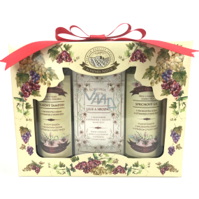Bohemia Gifts Wine Spa Wine cosmetics shower gel 100 ml + Toilet soap 100 g + hair shampoo 100 ml