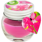 Air Wick Pink Mediterranean flowers scented candle glass mini 30 g