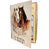 Bohemia Gifts About horses and people shower gel 250 ml + hair shampoo 250 ml, book cosmetic set