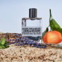 Zadig & Voltaire This is Him! Vibes of Freedom Eau de Toilette for men 50 ml